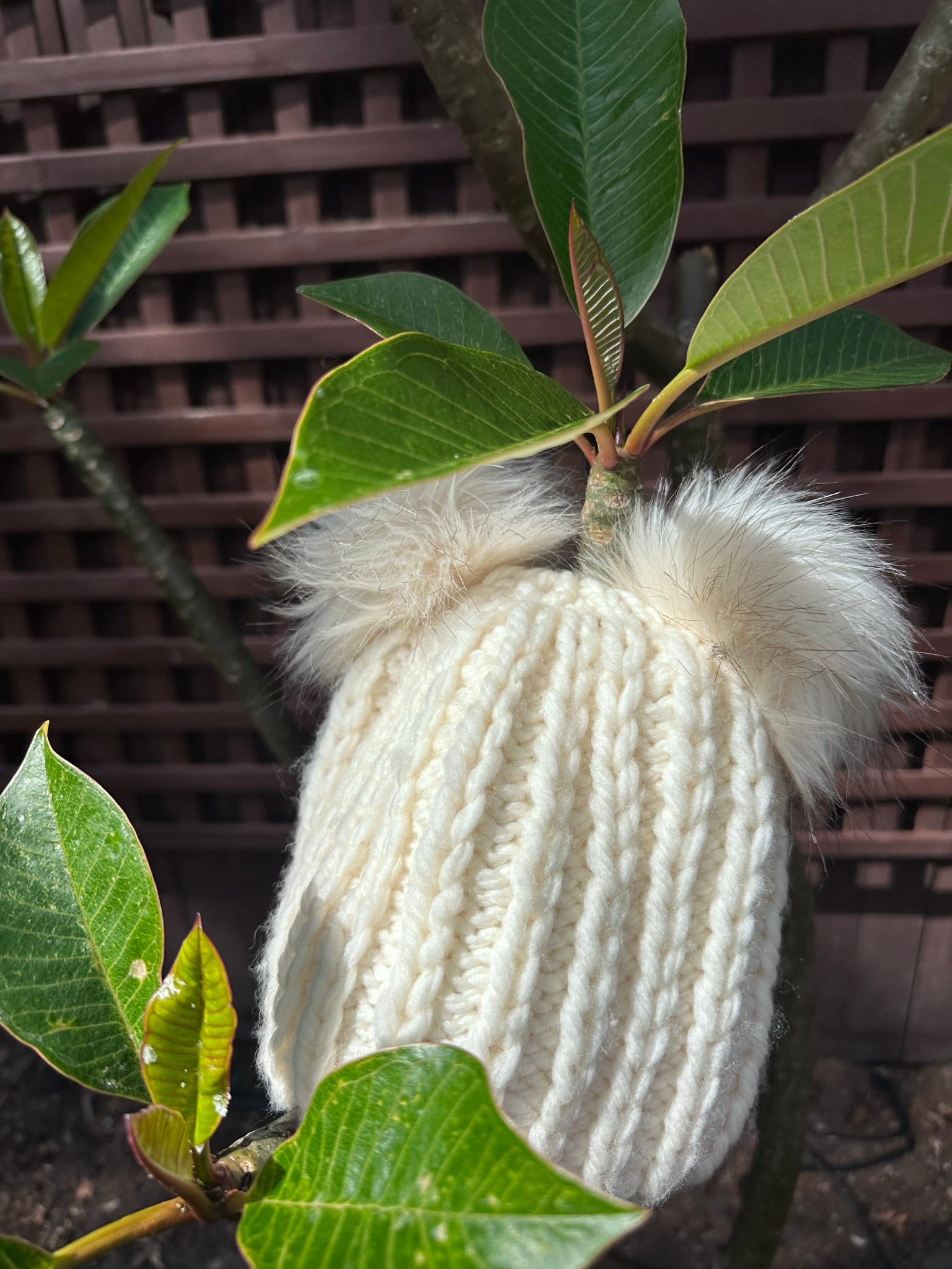 SarahMo Girlfriend Hat Pattern